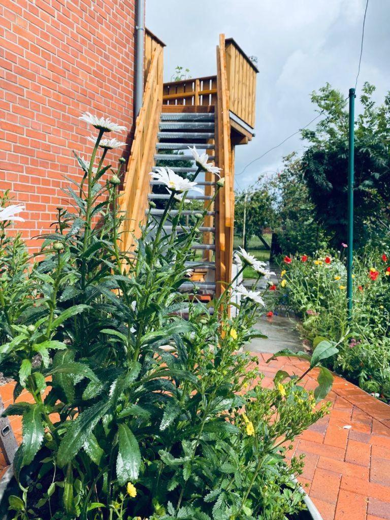 Ferienwohnung-Wildblume Petersdorf auf Fehmarn Екстериор снимка